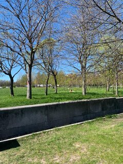 Без имени195.jpg