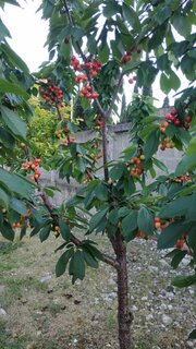 WhatsApp Image 2024-05-29 at 21.31.15.jpeg