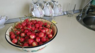 WhatsApp Image 2024-06-08 at 09.09.41.jpeg