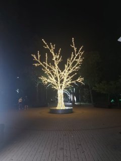 Изображение WhatsApp 2024-07-07 в 11.24.34_40134eb4.jpg