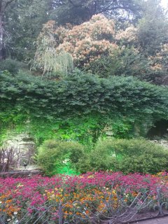 Изображение WhatsApp 2024-07-07 в 11.24.35_514f677d.jpg