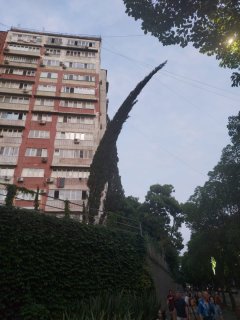 Изображение WhatsApp 2024-07-07 в 11.24.36_0e07bdd4.jpg