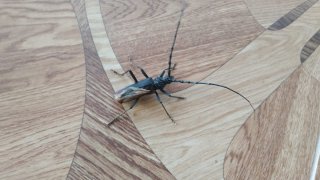 WhatsApp Image 2024-07-25 at 19.09.46 (1).jpeg