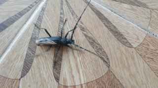 WhatsApp Image 2024-07-25 at 19.09.46.jpeg