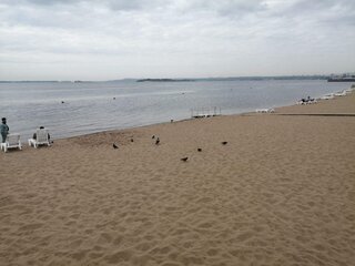 image-2024-10-13 19_51_37.jpg