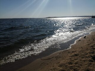 image-2024-10-13 19_52_54.jpg