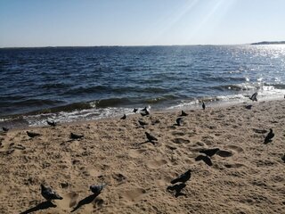 image-2024-10-13 19_52_55.jpg