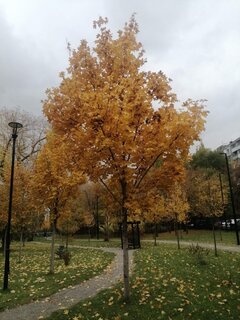 image-2024-10-27 19_25_23.jpg