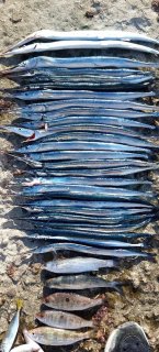 WhatsApp Image 2024-11-11 at 15.10.58.jpeg