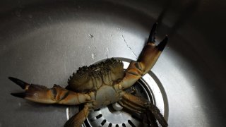 WhatsApp Image 2025-01-08 at 11.49.11.jpeg