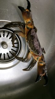 WhatsApp Image 2025-01-08 at 11.49.59.jpeg