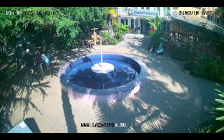 Screenshot_20250619-160332_Yandex Browser.jpg