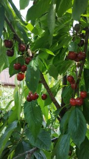 WhatsApp Image 2025-06-03 at 08.31.37.jpeg