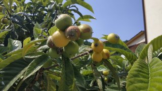 WhatsApp Image 2025-06-06 at 14.04.24 (1).jpeg