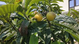 WhatsApp Image 2025-06-06 at 14.04.24.jpeg