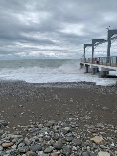 2025-09-19 12-33-00.JPG