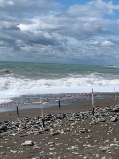 2025-09-19 14-34-10.JPG