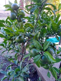 WhatsApp Image 2025-09-03 at 08.36.03.jpeg