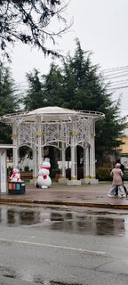 IMG_20251231_153059_713.thumb.jpg.90792f8a4b0d7649609a795c73ab1bed.jpg