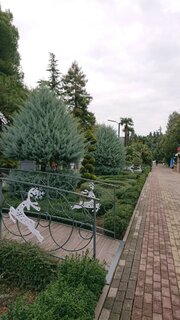 DSC_2973.JPG