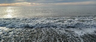 IMG_20260106_150534_854.thumb.jpg.0a78c6126610b82f888b84d107d4e5eb.jpg