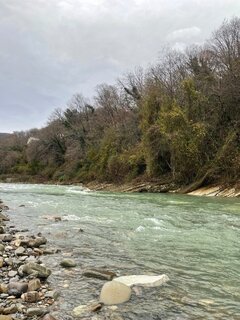 IMG_5155.jpeg