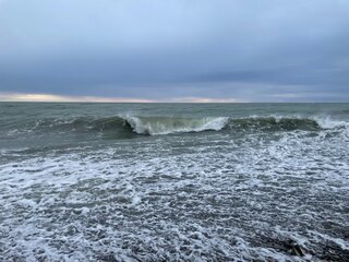 IMG_5161.jpeg
