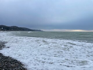 IMG_5165.jpeg