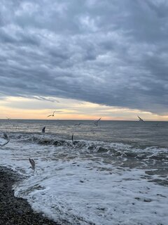 IMG_5222.jpeg