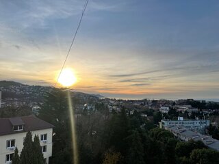 IMG_5264.jpeg