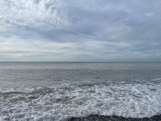 IMG_5274.jpeg