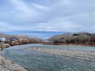 IMG_5284.jpeg