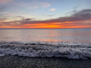 IMG_5312.jpeg