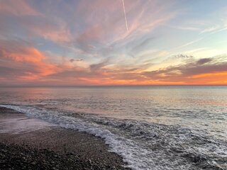 IMG_5313.jpeg