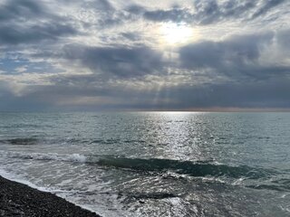 IMG_5340.jpeg