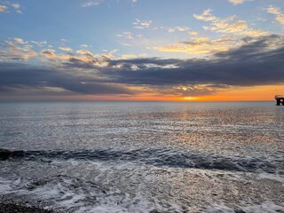 IMG_5365.jpeg