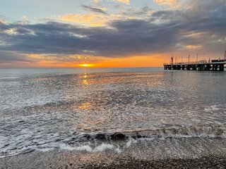 IMG_5376.jpeg