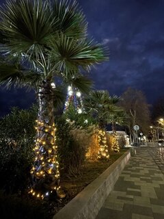 IMG_5428.jpeg
