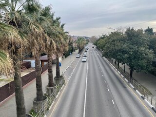 IMG_5435.jpeg