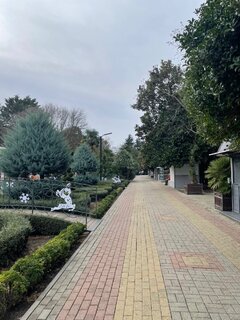 IMG_5436.jpeg