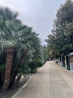 IMG_5437.jpeg