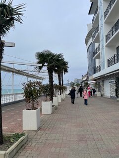 IMG_5444.jpeg