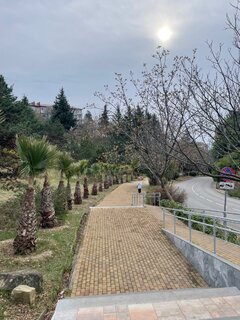 IMG_5459.jpeg