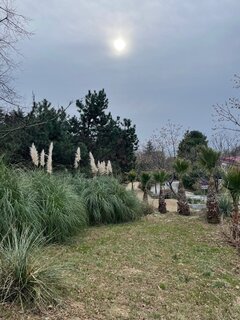 IMG_5461.jpeg