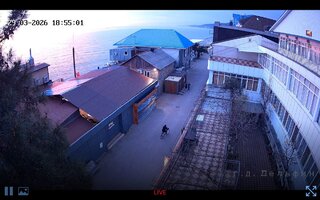 Screenshot_20260329-185503_Yandex Browser.jpg