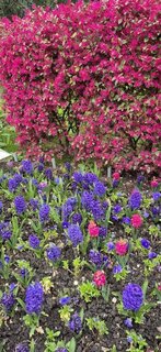 b3f28231-39d1-4544-bd6b-7c521d4503b3.jpg