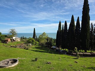 20260520_160300.jpg