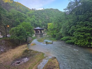 20260520_191500.jpg