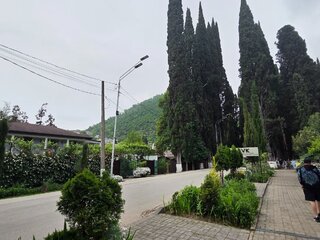 20260522_171008.jpg