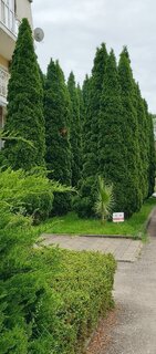 IMG_20260522_101142_093.jpg
